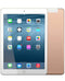 iPad Air 2 (WIFI and Data, 4G, Unlocked)