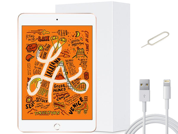 iPad Mini 5 (4G, Unlocked)