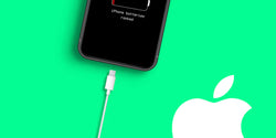 Which iPhone has the longest battery life