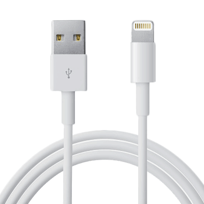 Apple Official Official Apple Lightning Cable, 1m - WeSellTek